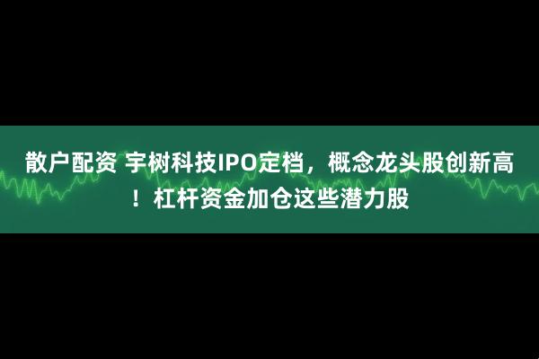 散户配资 宇树科技IPO定档，概念龙头股创新高！杠杆资金加仓这些潜力股