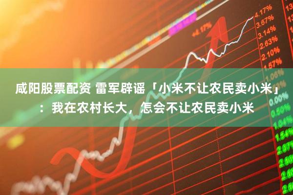 咸阳股票配资 雷军辟谣「小米不让农民卖小米」：我在农村长大，怎会不让农民卖小米