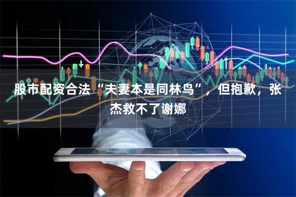 股市配资合法 “夫妻本是同林鸟”，但抱歉，张杰救不了谢娜