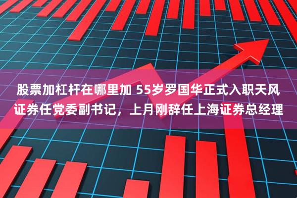 股票加杠杆在哪里加 55岁罗国华正式入职天风证券任党委副书记,上月刚辞任上海证券总经理